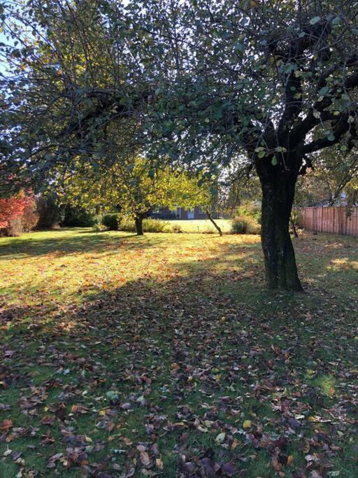Self Contained Garden Studio With Stunning Views Sissinghurst Εξωτερικό φωτογραφία